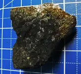 Specimen21.webp