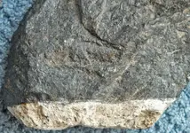 DSCF0907a.webp