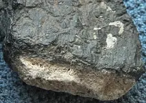 DSCF0904a.webp