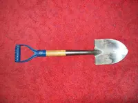 100_1964[1].webp