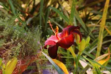 IMG_4527_2400.webp