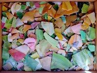 DSCN1211.webp