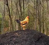 20210324_174033.webp