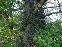 DSC05938.webp