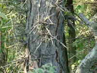 DSC05939.webp