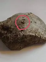ImageUploadedByTreasureNet.com1619738426.258148.webp