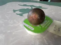 20210429_183824.webp