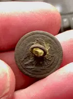 Unusual Jacksonian period Navy button.webp Unusual Jacksonian period Navy button.webp