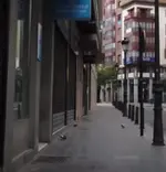 00pigeons.webp