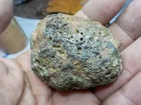 DSCN8423.webp
