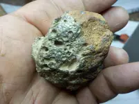 DSCN8424.webp