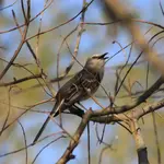 IMG_3590_2400.webp