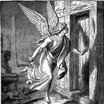angel_of_death.webp angel_of_death.webp