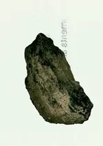 20210306_172009.webp
