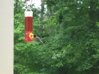 IMG_1347 (Small).webp
