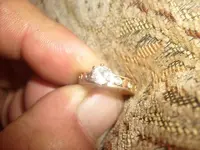 bling2.webp