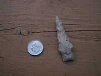 Drill 012.webp