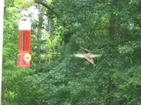 IMG_1351 (Small).webp