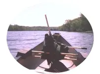 paddle-in.webp