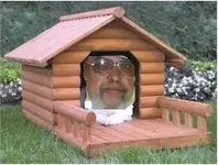 doghouse1.webp