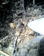 04-24-08_1210.webp
