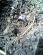 04-24-08_1211.webp