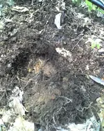04-24-08_1213.webp