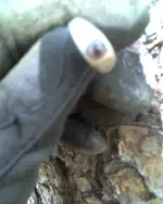 04-24-08_1214.webp
