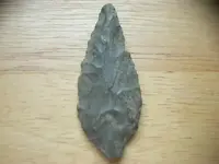 015.webp