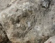 crop277.webp