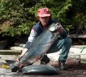 hmmmsalmon.webp