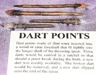 darts.webp