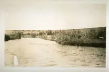 alamoriver2.webp