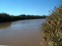 AlamoRiver1.gif