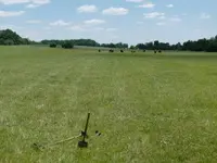 Fields.webp