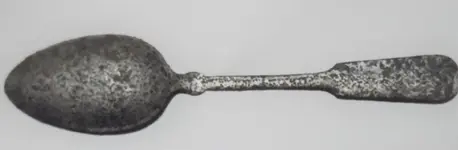 Spoon Rear.webp