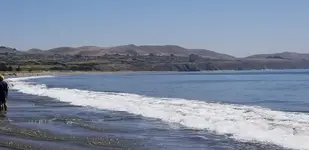 20190814_123626.webp