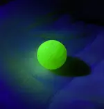 1D18BB0D-4D31-4457-98E3-275C59E7BF6E.webp