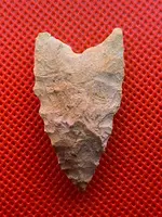 ImageUploadedByTreasureNet.com1621041567.672403.webp