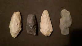 20210430_194434.webp