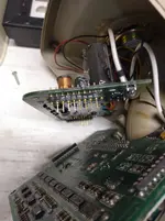 header pins.webp