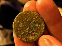61321coin223 (3).webp