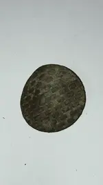 61321button.webp