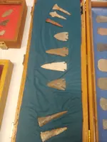 20210327_104639.webp