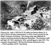 Dolores-Ltd-17.webp