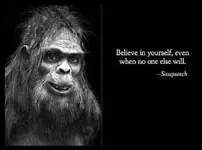 believe in yourself.webp