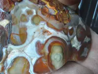 20210331_200839.webp