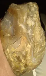 20210418_005206.webp