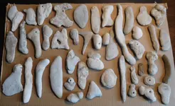 Paleoindian  Artifacts.webp