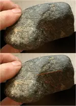 West-Grip-Top-Pecking.webp